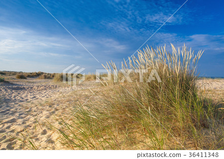 On the empty beach in Great Yarmouth, England 36411348