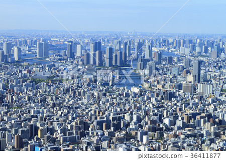 Urban scenery (Tokyo, seaside area, early summer) 36411877