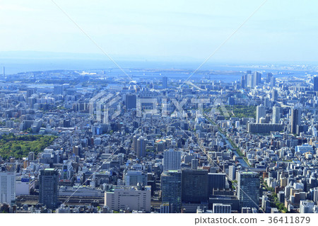 Urban scenery (Tokyo, seaside area, early summer) 36411879