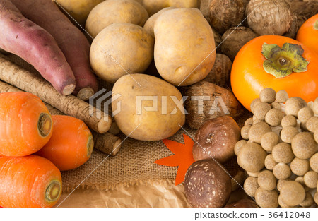 秋季蔬菜和水果秋季秋季風味馬鈴薯蘑菇各種類型 36412048