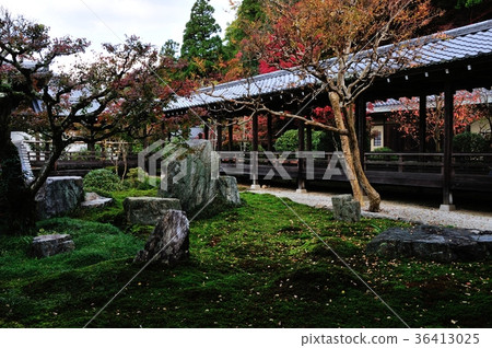 秋天的彩色南禪寺 秋天的彩色南禪寺 36413025