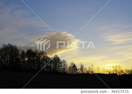 Twilight, meadow, autumn 36413535