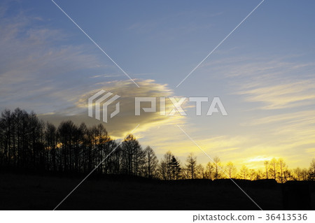 Twilight, meadow, autumn 36413536