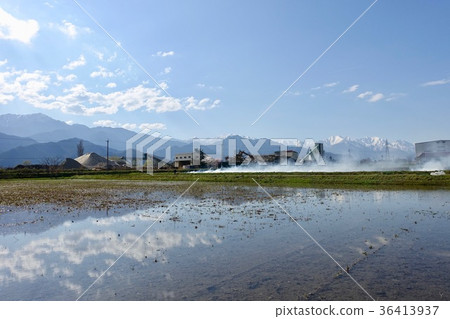 米飯烤魔鬼的春天的味道 米飯烤魔鬼的春天的味道 36413937