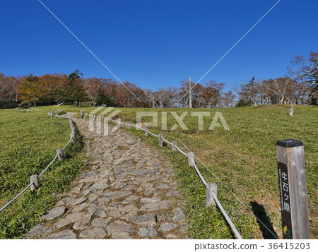 Otagichigahara Otagichigahara 36415203
