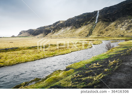 Small river near Seljalandfoss waterfall, Iceland 36416306