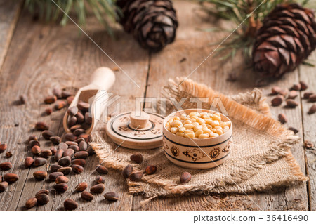 Cedar nuts and branch with cone 36416490