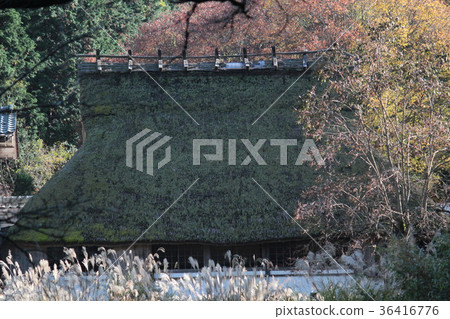 京都丹波高地準國家公園綾部市奧月橋 36416776