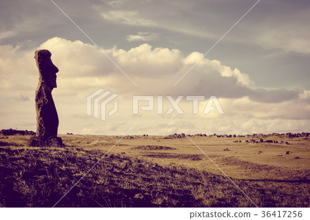 Moai statue, ahu akapu, easter island 36417256