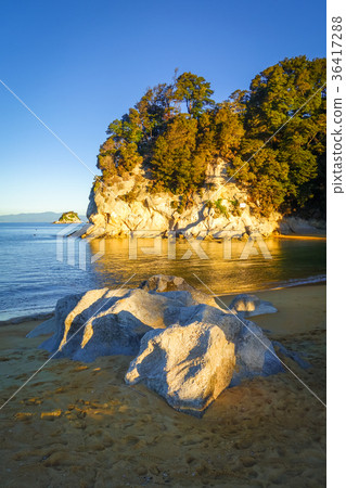 Creek at sunset in Abel Tasman Park, New Zealand 36417288