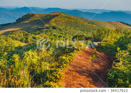mountain landscape at sunrise with grass 36417622