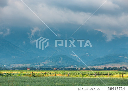 Landscape of Apuseni Mountains in Romania, Europe 36417714