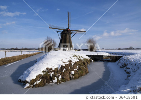 Windmill Oude Doornse Molen 36418591