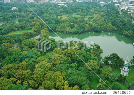 泰國的曼谷,隆比尼公園 泰國的曼谷,隆比尼公園 36418695