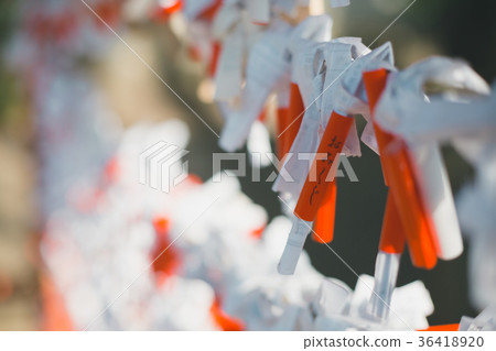 written oracle, written fortune, omikuji 36418920