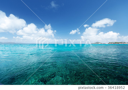 perfect sky and tropical ocean 36418952