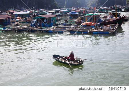 floating village near Cat Ba island 36419740