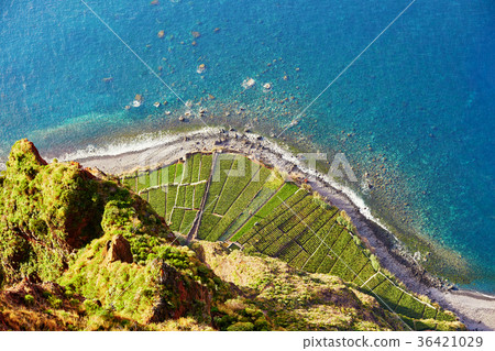 Aerial view of terrace fields at Cabo Girao Aerial view of terrace fields at Cabo Girao 36421029