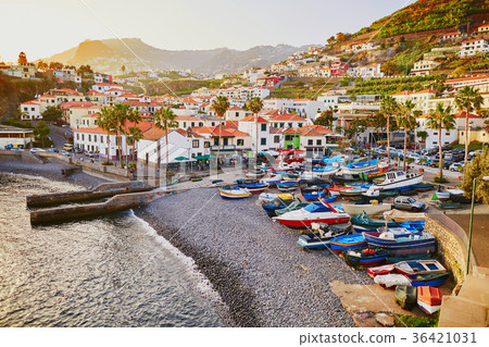 View of Camara de Lobos village, Madeira, Portugal View of Camara de Lobos village, Madeira, Portugal 36421031