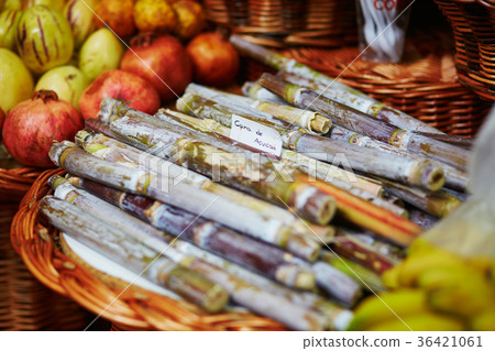 Green sugar-canes on farmer market Green sugar-canes on farmer market 36421061