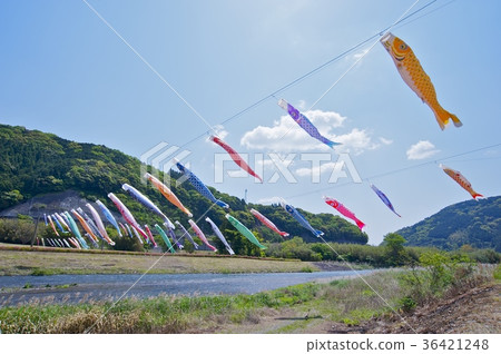 高知Koinobori的河道 高知Koinobori的河道 36421248