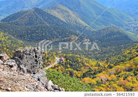 Autumn leaves of Norikura echo line seen from the top 36421593