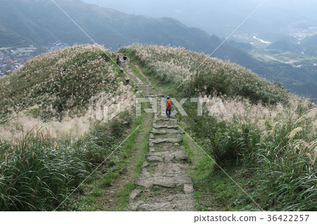 台灣風景九份 照片素材 圖片 圖庫