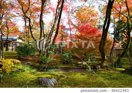 秋天的文庫花園 36422363