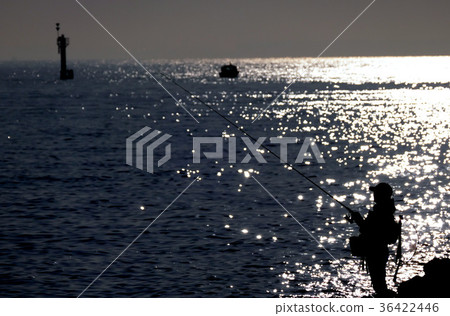 Evening fisher Evening fisher 36422446