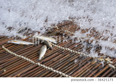 Drop fishing in the white field 36425173