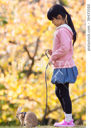Kid playing with rabbit in autumn park Kid playing with rabbit in autumn park 36435088