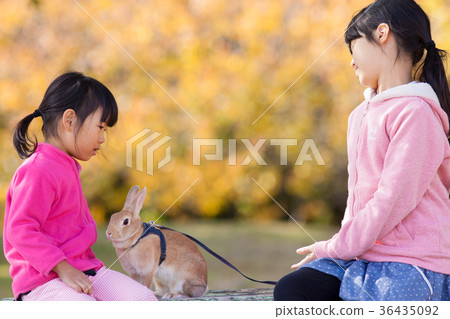 使用用兔子的兒童姐妹在秋天公園 36435092