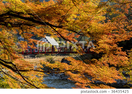 Kaarashii美好的秋季風景 36435425