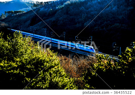 36435522