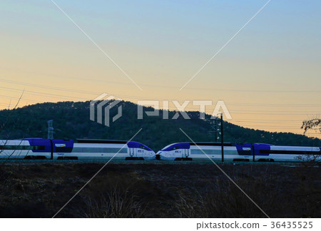36435525