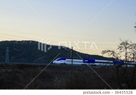 36435526