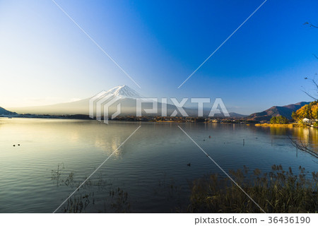 Kawaguchiko Fujiyama Morning 36436190