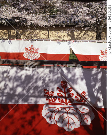 禪寺櫻花觀賞 禪寺櫻花觀賞 36436192