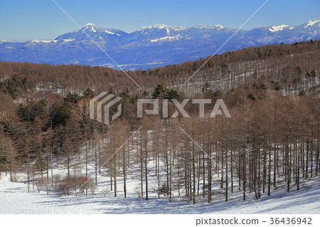 Look at the direction of Kita Yatsugatake (range from Tateshina to Nakayama) from Mt. Look at the direction of Kita Yatsugatake (range from Tateshina to Nakayama) from Mt. 36436942