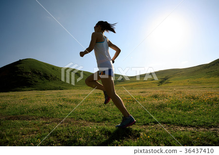 fitness woman runner running on grassland trail fitness woman runner running on grassland trail 36437410