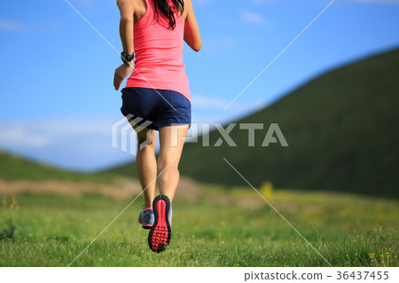 young fitness woman trail runner running outside young fitness woman trail runner running outside 36437455