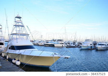 橫濱Bayside Marina 36437523