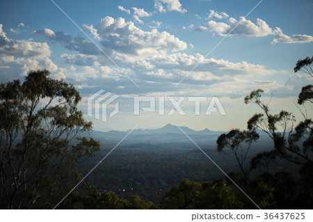 View of Brisbane from Mount Coot-tha 36437625
