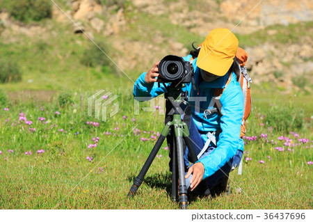 young woman photographer set the tripod outdoors young woman photographer set the tripod outdoors 36437696