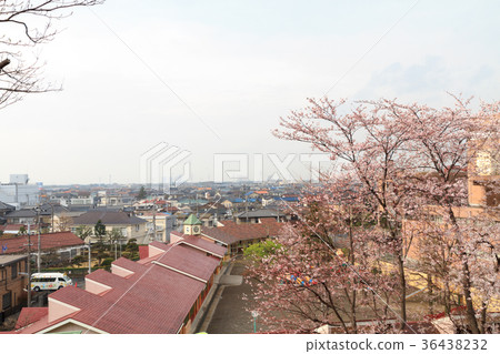 從山上看到的景觀 從山上看到的景觀 36438232