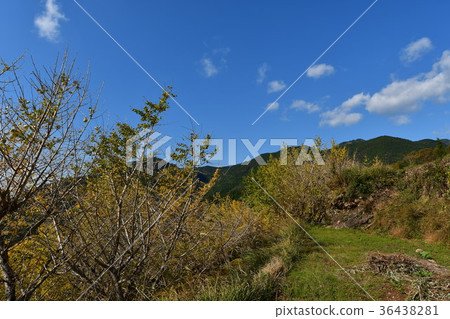 在高知ka Kitagun的Arise地區的稻田和山 36438281