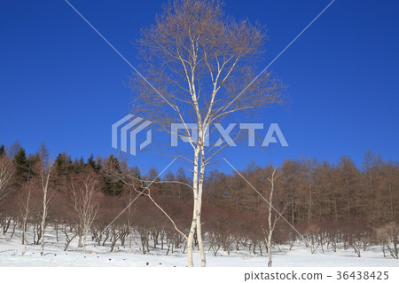 Mt. Irisuyama in the winter 36438425