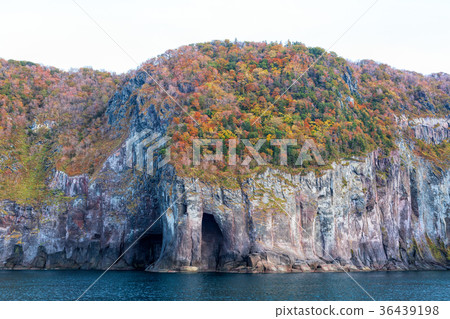 知床半島(十月秋葉秋天觀光船) 知床半島(十月秋葉秋天觀光船) 36439198