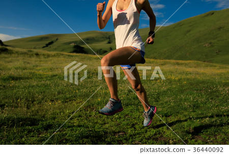 fitness woman runner running on sunset trail fitness woman runner running on sunset trail 36440092