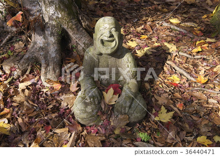 羅漢像長安寺一樣包裹著秋葉 羅漢像長安寺一樣包裹著秋葉 36440471